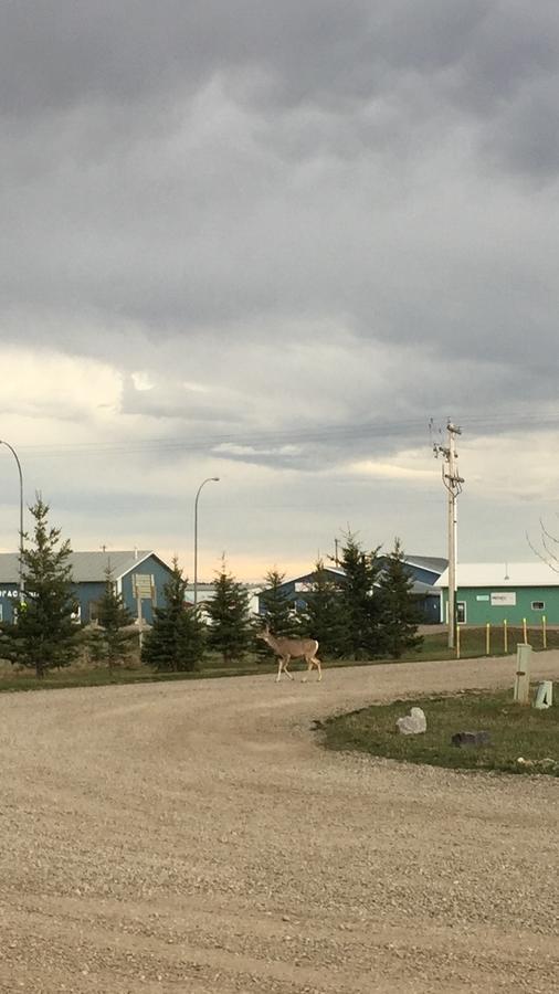 Bulldog Inns Sundre Exterior foto